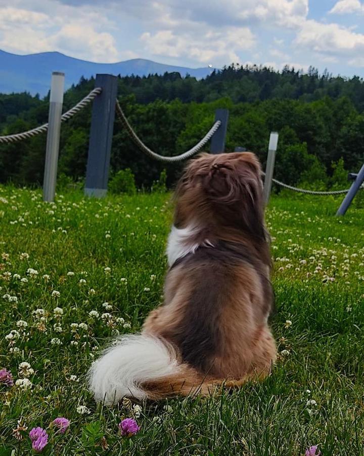 Na Skale Z Widokiem Na Panorame Karkonoszy Шале