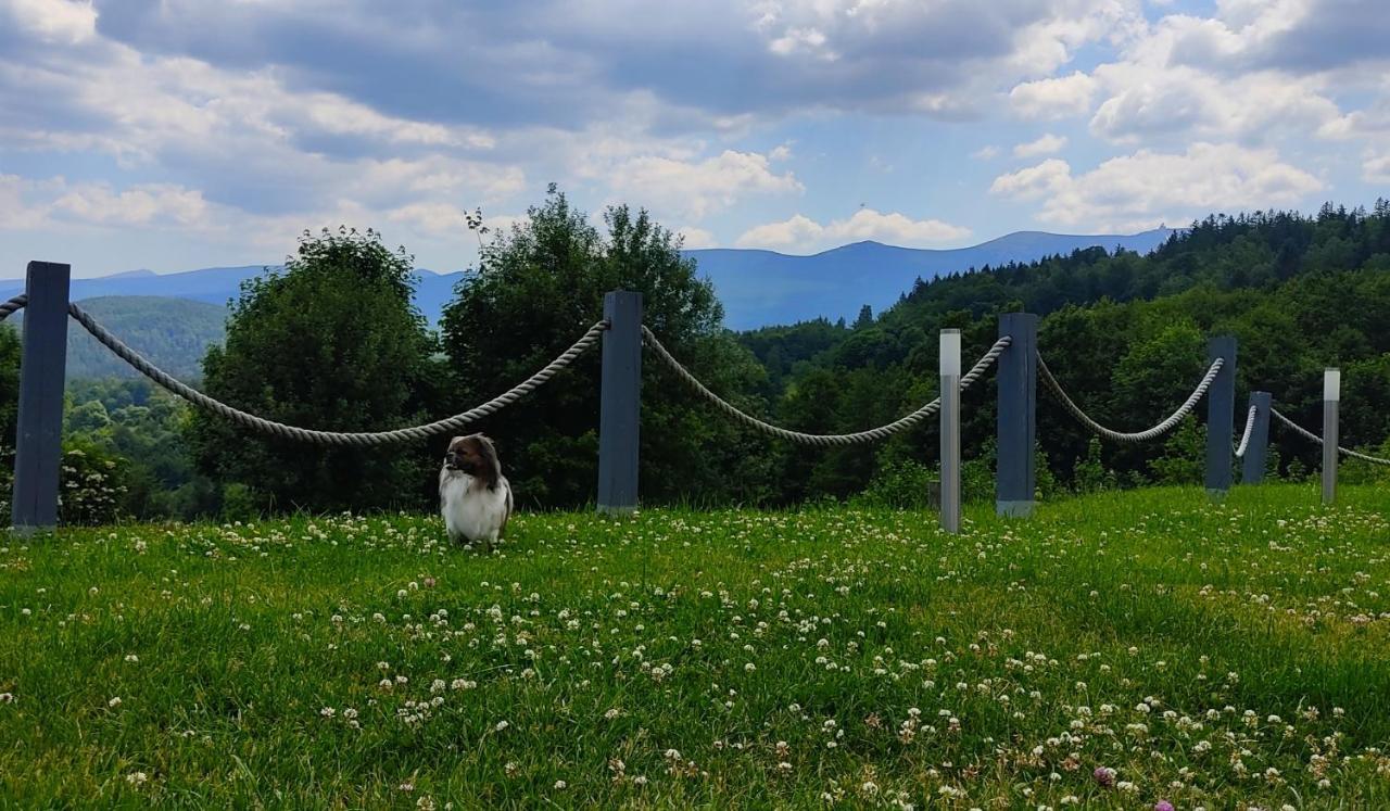 Na Skale Z Widokiem Na Panorame Karkonoszy Шале *