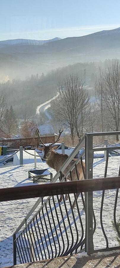 Na Skale Z Widokiem Na Panorame Karkonoszy Chalet Szklarska Poreba