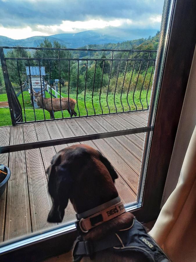 Chalet Na Skale Z Widokiem Na Panorame Karkonoszy Szklarska Poreba