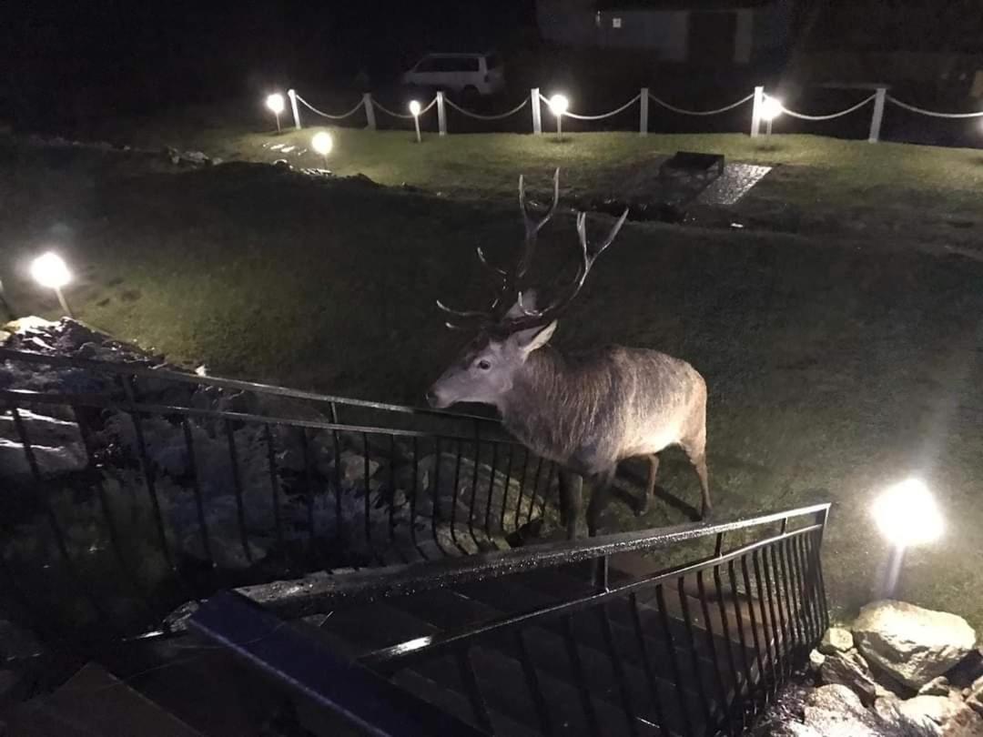 Na Skale Z Widokiem Na Panorame Karkonoszy Chalet